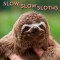 Slow, Slow Sloths