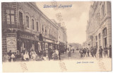 2975 - LUGOJ, Timis, Market, Litho, Romania - old postcard - unused, Necirculata, Printata