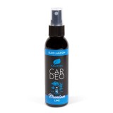 Odorizant auto Paloma Car Deo Spray Premium Blue Lagoon 65ml