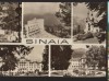 CPIB 22444 - CARTE POSTALA - SINAIA, MOZAIC, Circulata, Fotografie