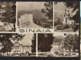 CPIB 22444 - CARTE POSTALA - SINAIA, MOZAIC