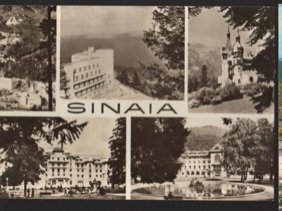 CPIB 22444 - CARTE POSTALA - SINAIA, MOZAIC foto