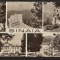 CPIB 22444 - CARTE POSTALA - SINAIA, MOZAIC