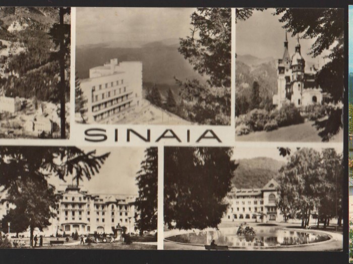 CPIB 22444 - CARTE POSTALA - SINAIA, MOZAIC