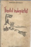 Tinutul Indepartat - Nikolai Zadornov, Roman Clasicism Editura Tineretului 1954 Brosat 13x20