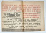 ROMANIA LIBERA , ZIAR INDEPENDENT , NR. 14053 , DUMINICA , 14 IANUARIE , 1980 , NUMAR OMAGIAL DEDICAT LUI MIHAI EMINESCU