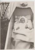 M5 B88 - FOTO - FOTOGRAFIE FOARTE VECHE - bebelus in landou - anii 1960