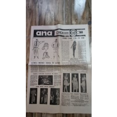 Revista Ana Nr 13 / 1990