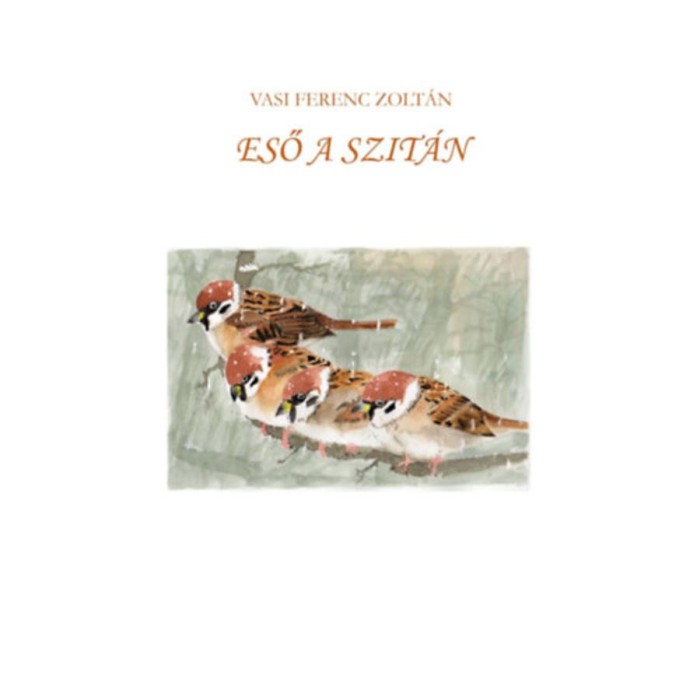 Eső a szit&aacute;n - Vasi Ferenc Zolt&aacute;n