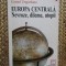 Adriana Babeți (coord.) - Europa centrală - Nevroze, dileme, utopii