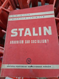 Stalin, anarhism sau socialism?