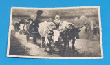 Carte Postala anii 1930 colectia Grigorescu CAR CU BOI editura librariei Socec, Circulata, Sinaia, Printata