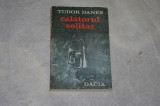Calatorul solitar - Tudor Danes - 1988