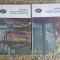 Charles Dickens - Marile sperante (2 vol.), 1969