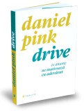Drive - Daniel Pink - Publica