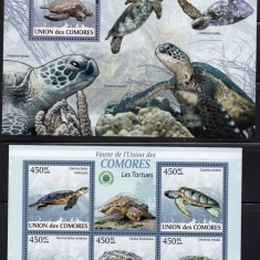 Ins. COMORE 2009, Fauna - Broaste testoase, MNH