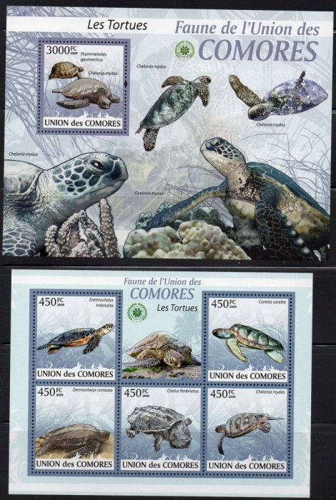 Ins. COMORE 2009, Fauna - Broaste testoase, MNH