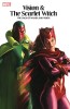 Vision &amp; the Scarlet Witch - The Saga of Wanda and Vision Tpb