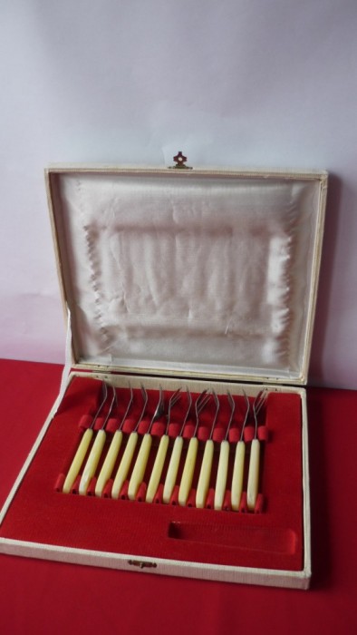 SET DE 12 FURCULITE IN CASETA