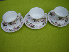 Portelan englezesc Queen Anne Bone China, frumos set de 3 cesti de cafea foto