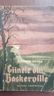 Cainele din Baskerville foto