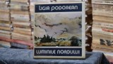 Luminile nordului - Ligia Podorean