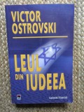 Leul din Iudeea - Victor Ostrovski, RAO, 2008, Roman, 316 pagini
