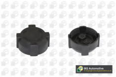 Buson vas expansiune antigel CHEVROLET LACETTI (J200) (2003 - 2016) BGA CC3027 foto