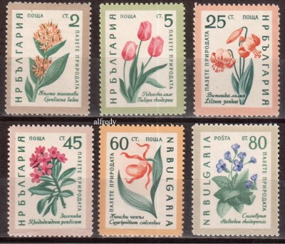 BULGARIA 1960, Flora, serie neuzata, MNH foto