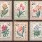 BULGARIA 1960, Flora, serie neuzata, MNH