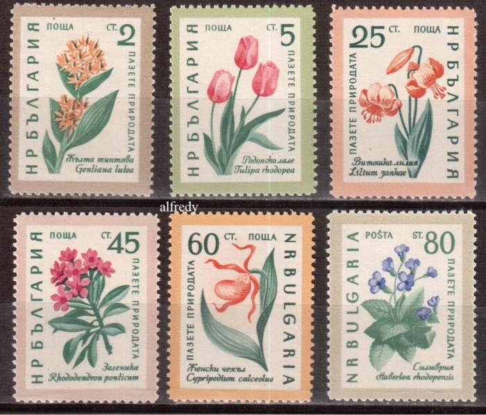 BULGARIA 1960, Flora, serie neuzata, MNH
