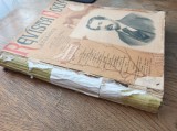 REVISTA NOUA , COLIGAT 12 NUMERE 1892, ANUL V