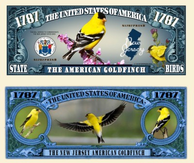 !!! SUA = FANTASY NOTE (TJ6) = NEW JERSEY , THE AMERICAN GOLDFINCH - 2022 - UNC foto