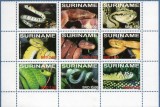 SURINAME 2008 FAUNA REPTILE SERPI