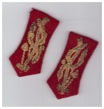 Petlite general de infanterie dupa 1990, stare relativ buna