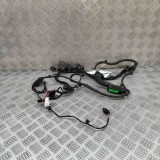 Cablaj ușă dreapta spate PORSCHE PANAMERA 971 2018 OEM: TAB052206,971971122B 30620301