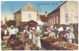37 - SIGHET, Maramures, Market, Romania - old postcard - unused, Necirculata, Printata