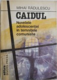 Cumpara ieftin Caidul. Nuvelele adolescentei in temintele comuniste - Mihai Radulescu - Carte Istorie