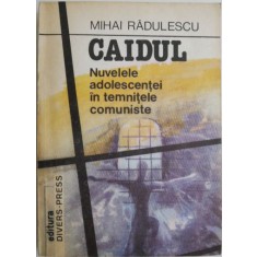 Caidul. Nuvelele adolescentei in temintele comuniste &ndash; Mihai Radulescu
