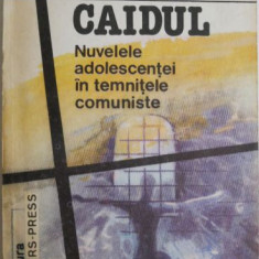 Caidul. Nuvelele adolescentei in temintele comuniste – Mihai Radulescu