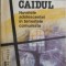 Caidul. Nuvelele adolescentei in temintele comuniste &ndash; Mihai Radulescu