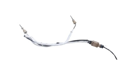 Senzor de temperatură AUDI Q5 FY 2021 OEM: 8W0919519C 25218417 foto