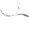 Senzor de temperatură AUDI Q5 FY 2021 OEM: 8W0919519C 25218417