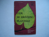 Cum se hranesc plantele - I. Grigore, 1963, Alta editura