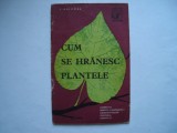 Cum se hranesc plantele - I. Grigore, 1963, Alta editura