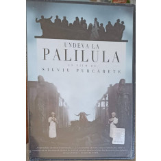 DVD FILM UNDELA LA PALILULA