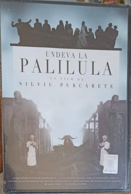 DVD FILM UNDELA LA PALILULA foto