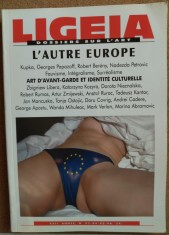 REVISTA LIGEIA 2009/DOSSIERS SUR L&amp;#039;ART:Doru Covrig/A.Cadere/George Apostu/Maxy+ foto