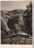CPIB 15952 CARTE POSTALA - MUNTII APUSENI. VALEA RUNCULUI, RPR, Circulata, Fotografie