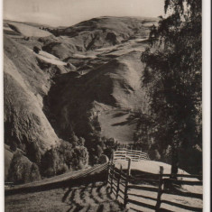 CPIB 15952 CARTE POSTALA - MUNTII APUSENI. VALEA RUNCULUI, RPR